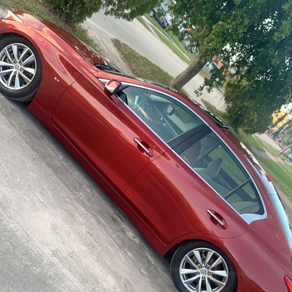 Meet your Posher, Dane - Picture 1 of 1